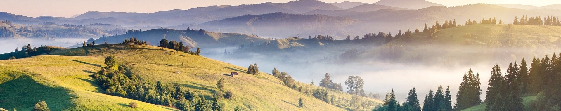 Objednávka AAA Auto